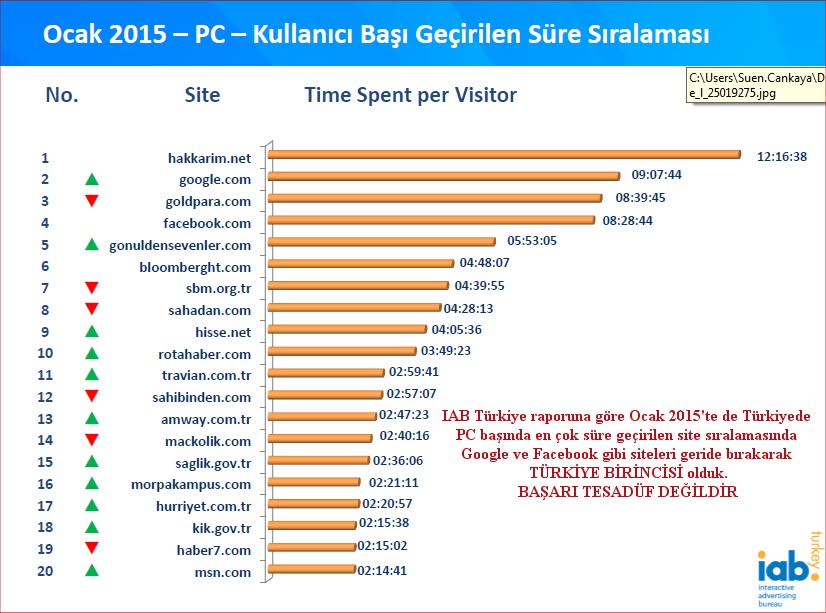 IAB Ocak 2015 Raporu